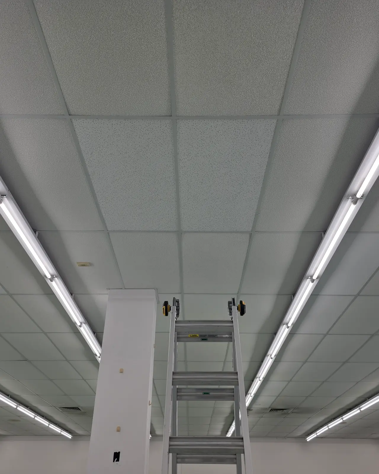 Drop ceiling with a clean, complete tile grid, fluorescent light fixtures and a ladder